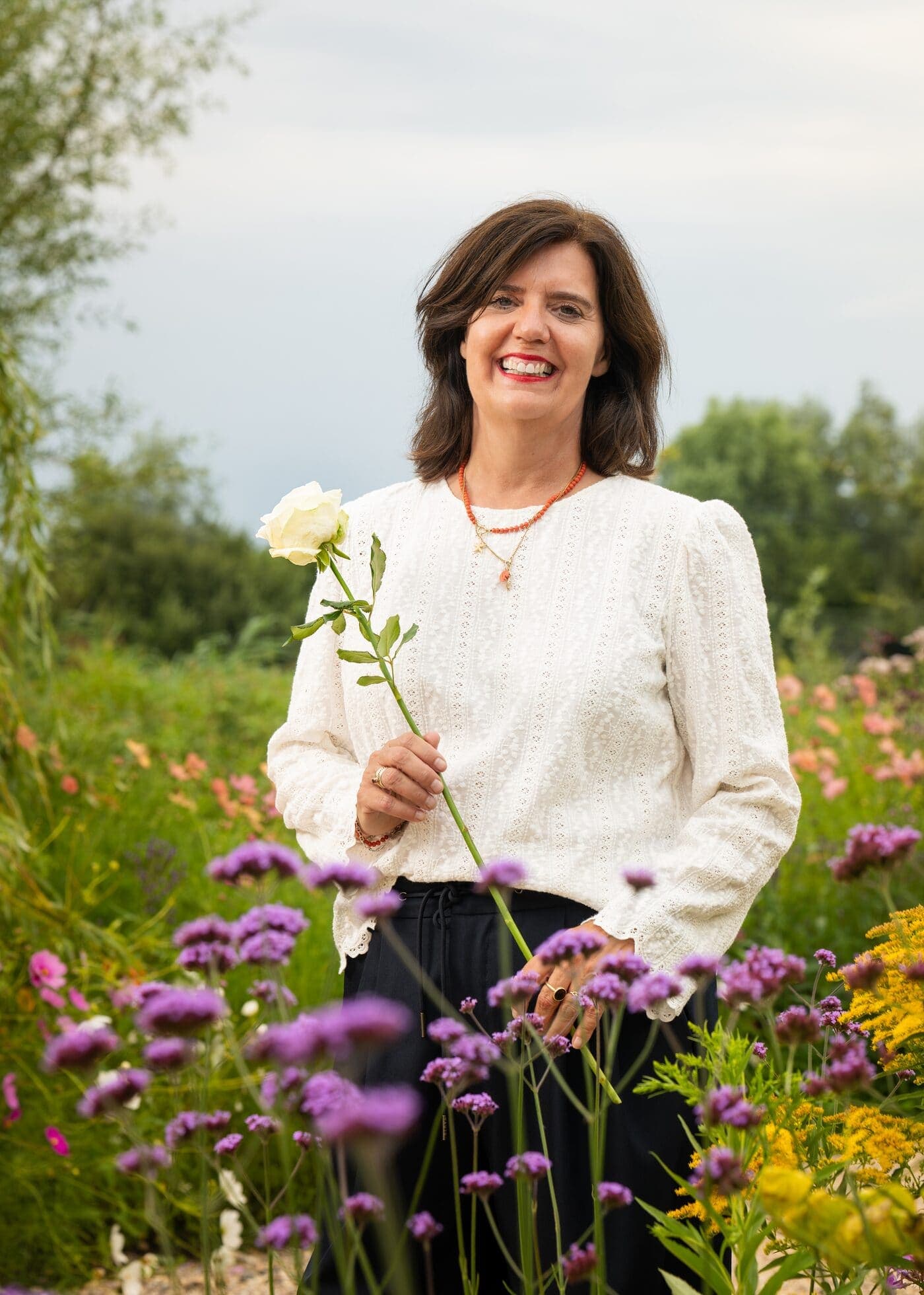 Een witte roos in de tuin