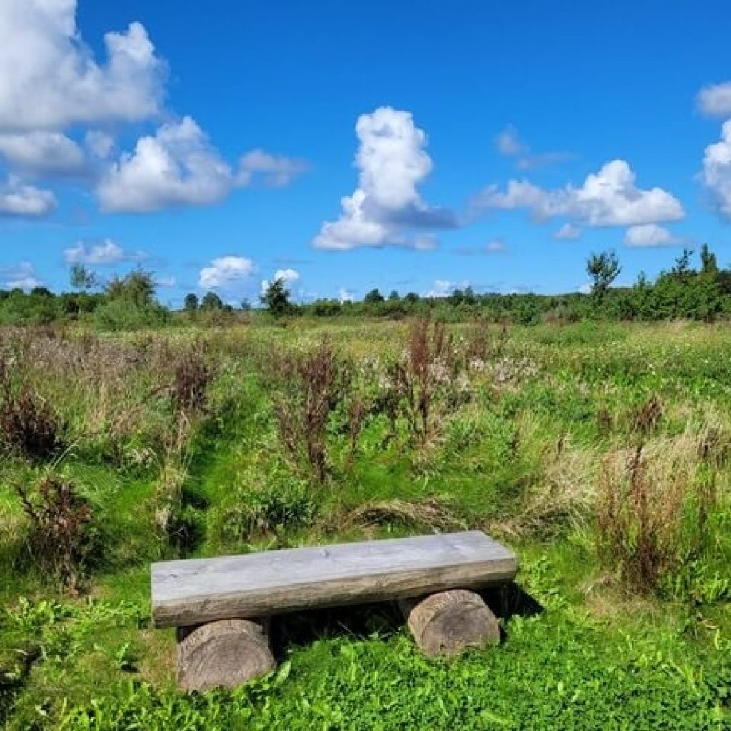 struinen-en-stilte-tiny